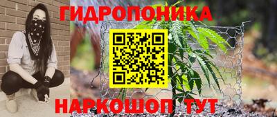 PSILOCYBIN Абакан
