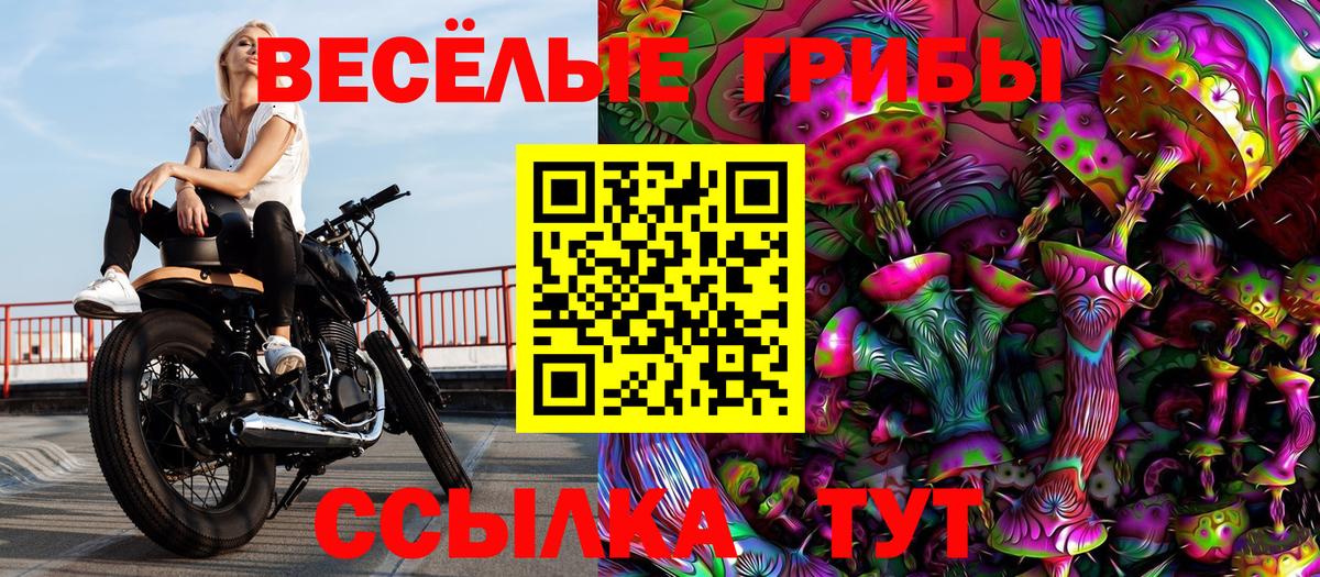 Галлюциногенные грибы Psilocybine cubensis  где купить наркоту  Алексеевка  Вход с VPN 