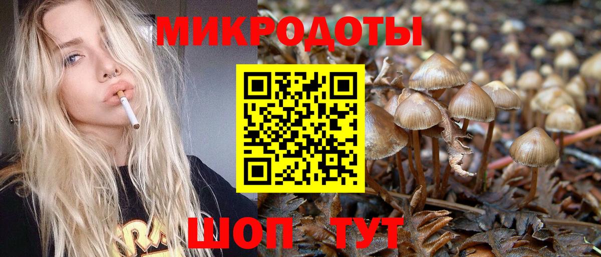 Галлюциногенные грибы Psilocybine cubensis Алексеевка